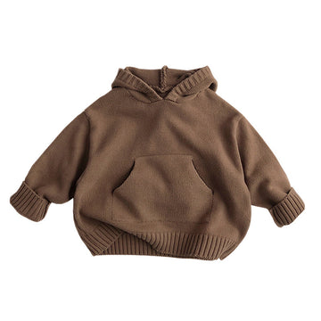 Toddler Boy Hooded Casual Sweater